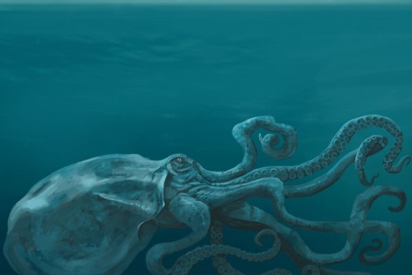 Кракен ссылка kraken