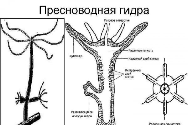 Кракен сайт маркет