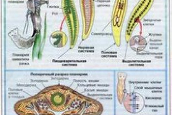 Зайти на кракен тор